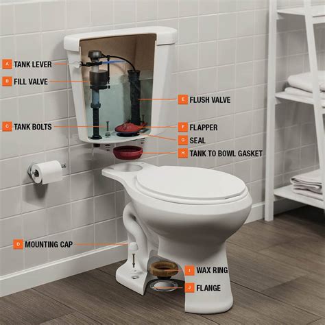 Tip: ADA compliant toilets meet the standards of the Americans with Disabilities Act and have a rim height of 15- to 17-inches. . Home depot toilet parts